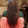 Small Senegalese twist