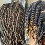 Spring Twists