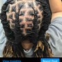 Starter Locs