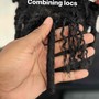 Starter Locs - Neck Length