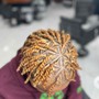 Starter Locs - short hair