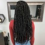 Starter Locs