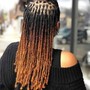 Starter Locs