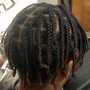 Adult Braids (Men/Women)