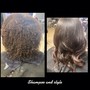 Scalp Treatment, Shampoo and Style