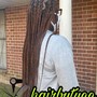 Men’s Braids