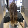 Adult Jumbo Box Braids 17+