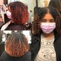 Root Touch Up