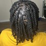 Natural Twists