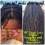 Small Knotless Braids Knee Length