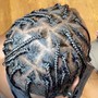 Feed in Braids