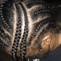 Feed in Braids