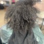 Root Touch Up