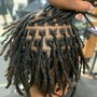 Starter Locs