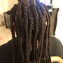 Small Box Braids