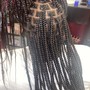 Individual Braids