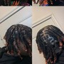 Loc Re-Twist +2 Strand Twists/ Plaits