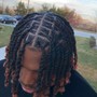 Loc Re-Twist +2 Strand Twists/ Plaits