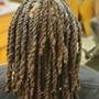 Dreadlock Detox