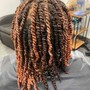 Natural Twists