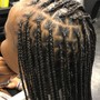 Knotless Braid Bob