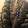 Braided ponytails