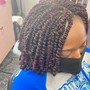 Large 2 Strand Twist