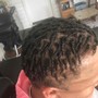 Starter Locs (Comb Twist)