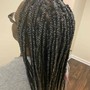 Loc Extensions(Hair Included)