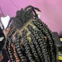 Starter Micro locs (Twist)