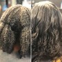 Deep Conditioning Treatment