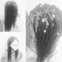 Knotless Bohemian Braids Medium