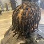 Natural Twists (medium)