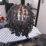 Starter Locs