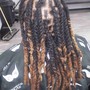 Starter Locs