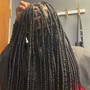 Medium Box Braids