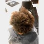 Root Touch Up