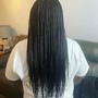 Box Braids OR Senegalese Twists