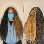 Passion Twists (medium mid back length )