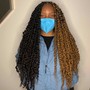 Passion Twists (medium mid back length )