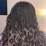 Tree/Micro Braids