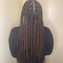 2 feed-in braids