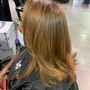 Olaplex Treatment