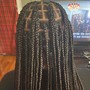 Kid's Box Braids with added hair