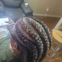 Two feeding braids