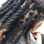 Braided Ponytail With Weave