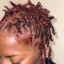 Starter locs