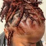 Starter locs