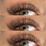 Volume Eyelash Fill