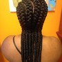 Two goddess braids into a bun, or hanging.